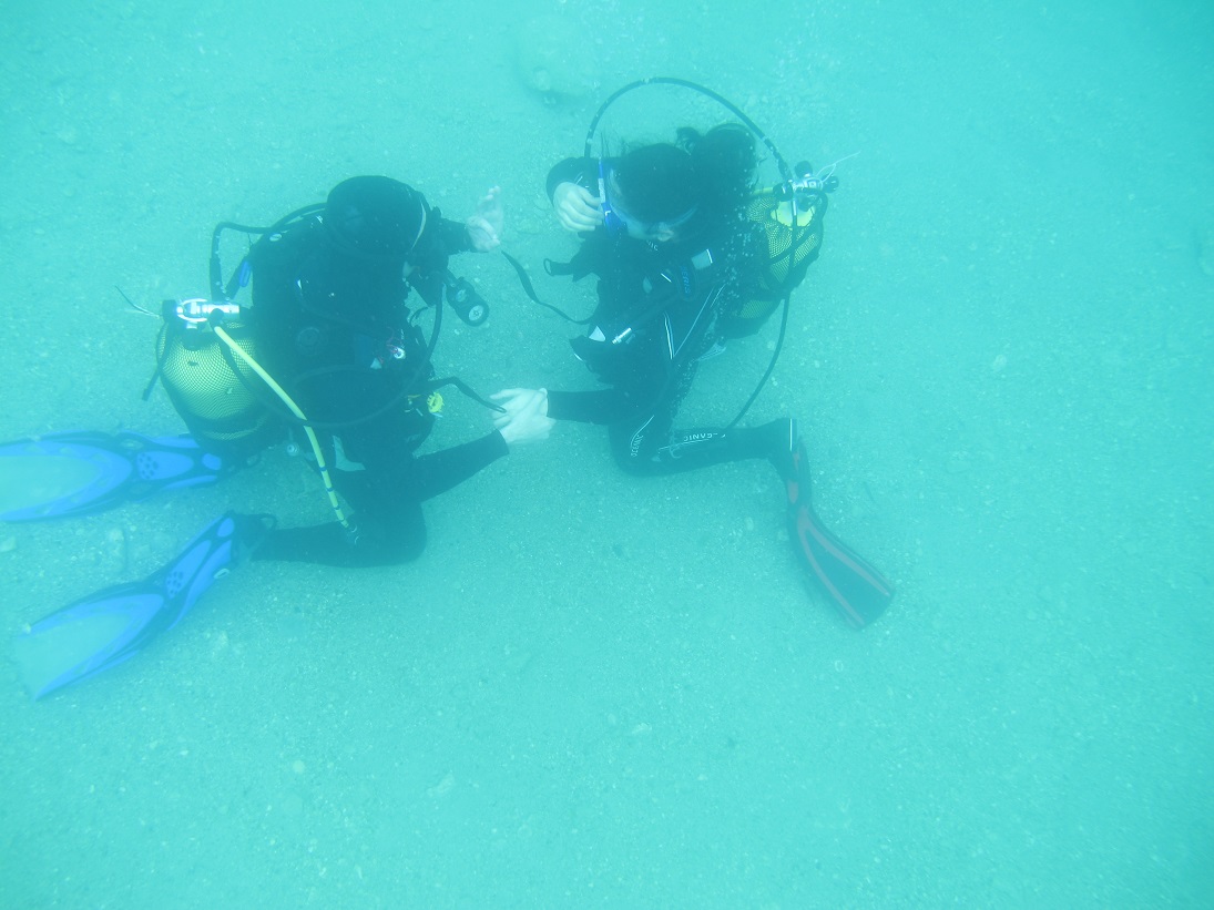 CMAS Dalış Eğitimi